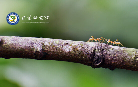 御林军有害生物防治（上海）有限公司